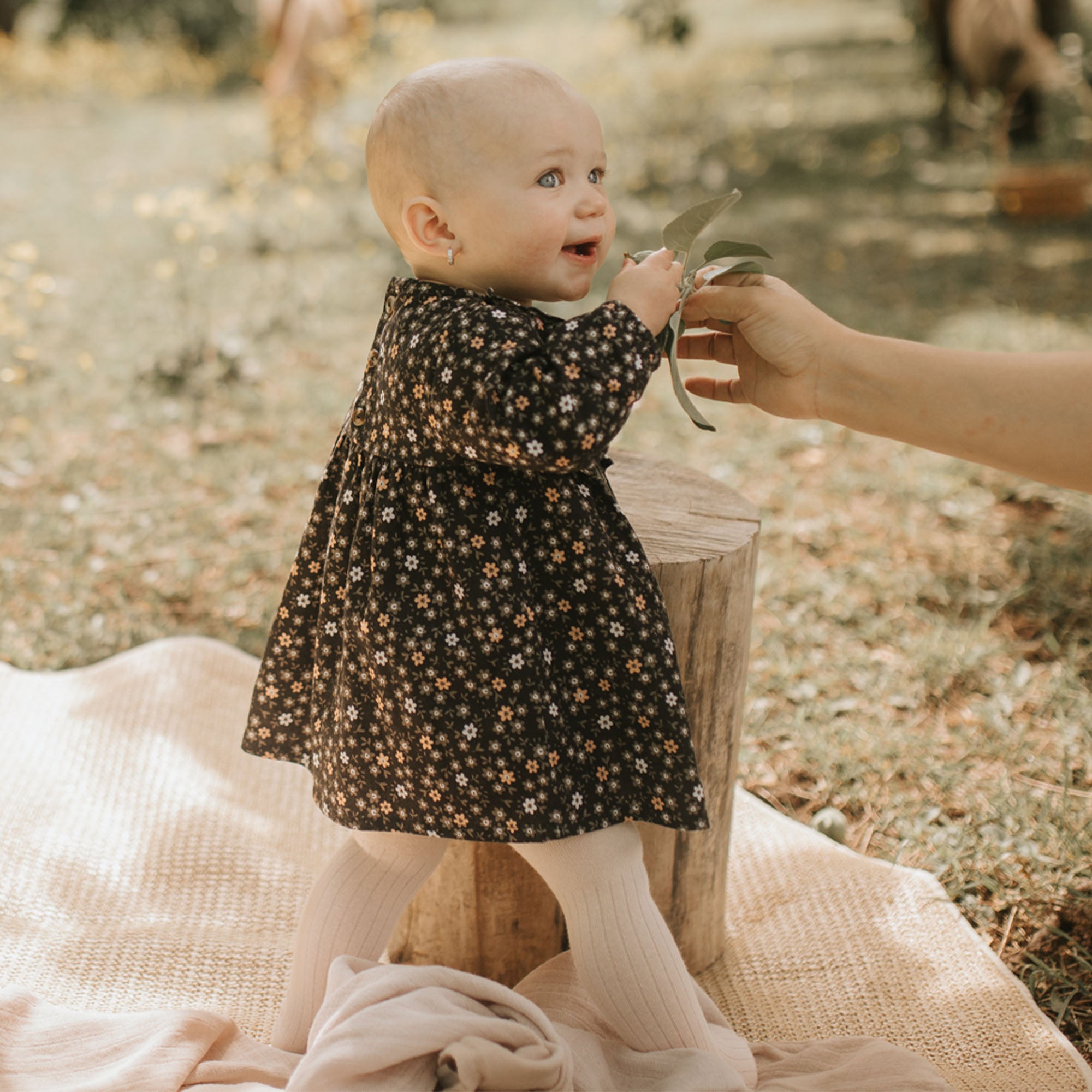 Rylee and cru store dark floral romper